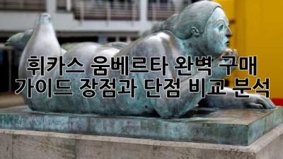 휘카스 움베르타 완벽 구매 가이드: 장점과 단점 비교 분석